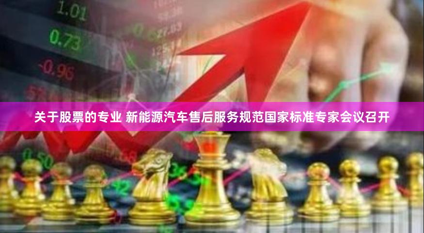 关于股票的专业 新能源汽车售后服务规范国家标准专家会议召开
