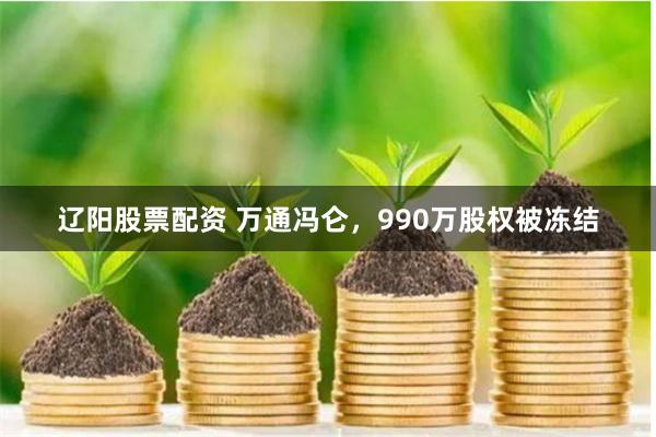 辽阳股票配资 万通冯仑，990万股权被冻结