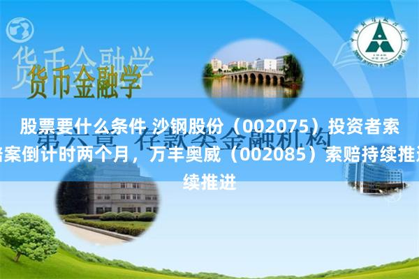 股票要什么条件 沙钢股份（002075）投资者索赔案倒计时两个月，万丰奥威（002085）索赔持续推进