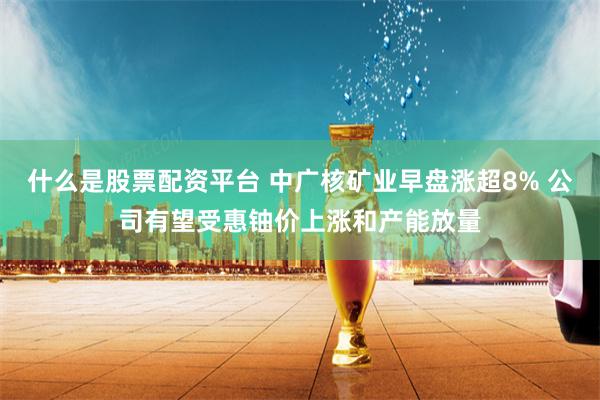 什么是股票配资平台 中广核矿业早盘涨超8% 公司有望受惠铀价上涨和产能放量