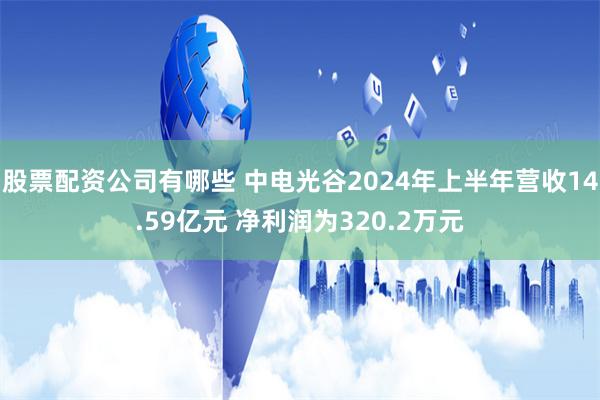 股票配资公司有哪些 中电光谷2024年上半年营收14.59亿元 净利润为320.2万元