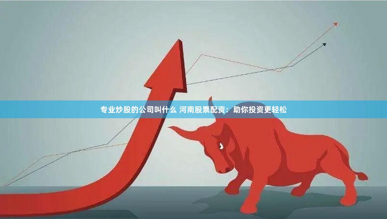 专业炒股的公司叫什么 河南股票配资：助你投资更轻松